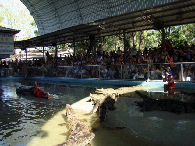 Таиланд. Паттайя. Фото с экскурсии на крокодиловую ферму.