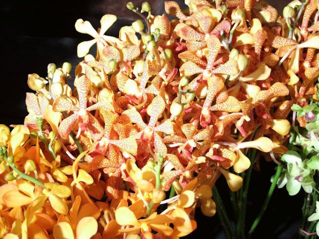 Подарочный букет из орхидей.